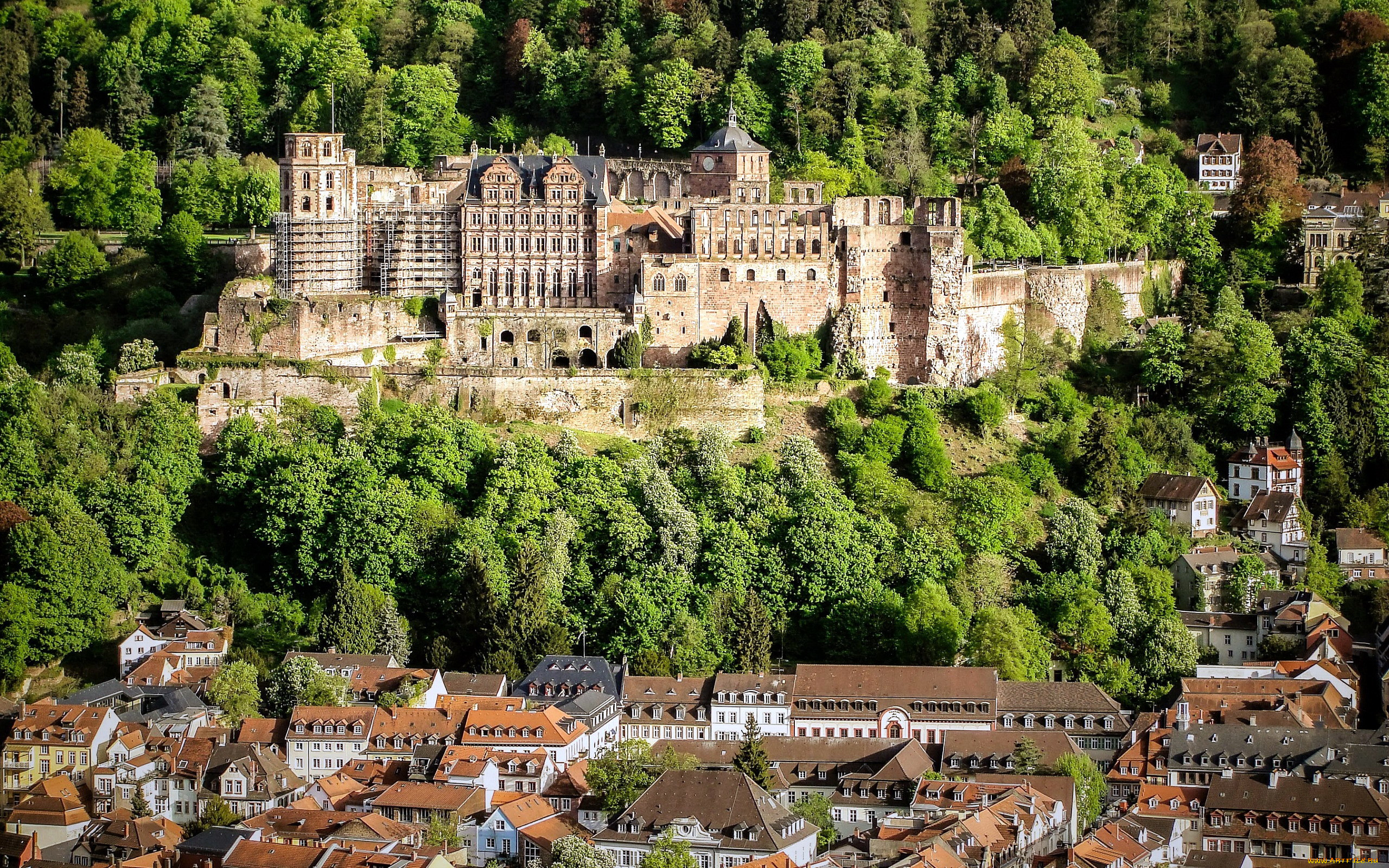 heidelberg castle, ,  , heidelberg, castle